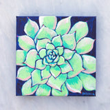 Original Painting - Succulent on Navy - Acrylic in 8"x8" Canvas
