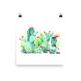 Norah's Cactus Garden Poster Print