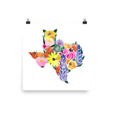 Texas Wildflowers Art Print